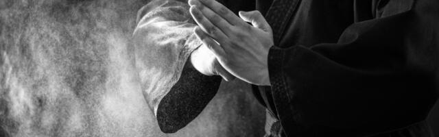 Koja borilačka veština vam pruža najveću zaštitu na ulici?