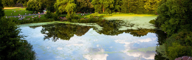 Frizer šišao u parku besplatno – Napravio biznis od toga