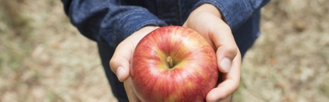 Poražavajuće studije: Četvrtina ispitane dece nije probala jabuku, niti čula za bananu