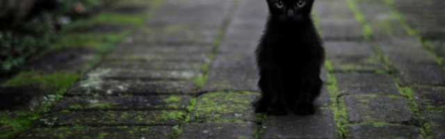 4 STVARI KOJE TREBA DA URADITE DO DECEMBRA - Planeta Kiron postaje retrogradna. Važno je da se pripremite za ovaj period