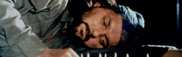 Pre četiri godine Manda je otišao „s one strane duge“