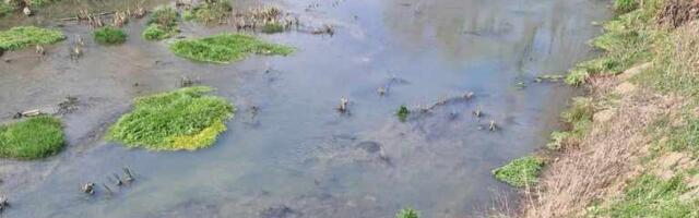 U bioelektrani kod Bojnika tvrde da nisu uzrok zagađenje kanala i pomor riba u Pustoj reci, ali priznaju jednu havariju