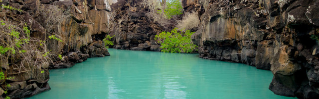 Zemlja vršnjaka univerzuma