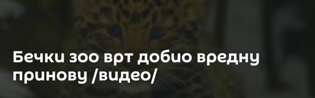 Бечки зоо врт добио вредну принову /видео/