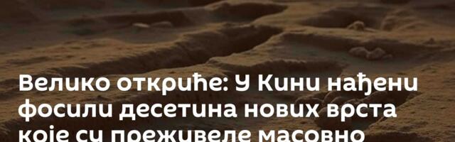 Велико откриће: У Кини нађени фосили десетина нових врста које су преживеле масовно изумирање