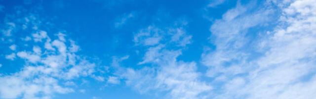 Пролеће пре пролећа: сунчано и топло до 5. марта