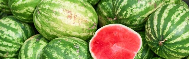 Zaboravite na kucanje: Tri sigurnija načina da izaberete najslađu lubenicu