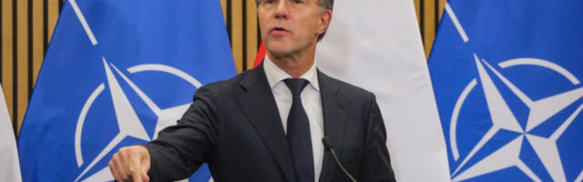 Руте: Русију обуздати јачањем Украјине