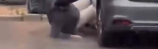 Snimak koji je pokorio internet! Da li je ovo najtrapaviji čovek na svetu?