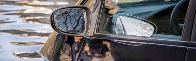 Radnici "Gradske čistoće" spasili deku od davljenja (VIDEO)