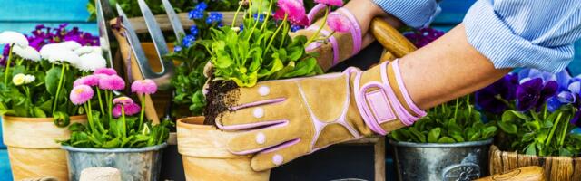 Kako napraviti originalne saksije: 7 zanimljivih ideja