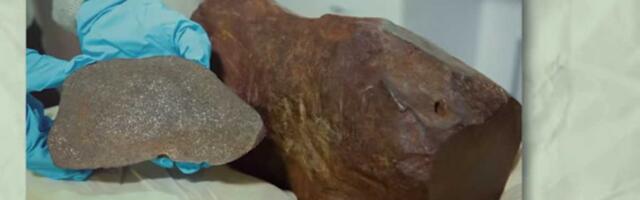 Čovek čuva kamen godinama, nadajući se da je zlato – ispostavlja se da je mnogo vredniji