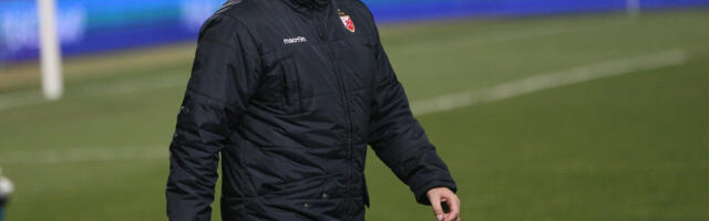 Stanković: Partija bez greške!