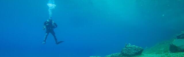 PRONAĐENI OSTACI DREVNOG MONSTRUMA Tinejdžer zaronio u more i ugledao nešto neverovatno, snimak sve oduševio