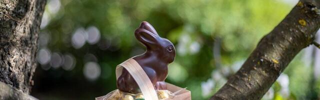 Temperature niže od očekivanog: Kakvo će vreme biti za Uskrs?