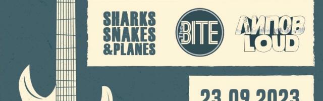 Koncert za park u Bregalničkoj