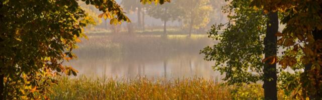 NAJLEPŠI JESENJI PEJZAŽI KRAGUJEVCA - Poslali ste nam prelepe fotografije koje na živopisan način oslikavaju naš grad (FOTO)