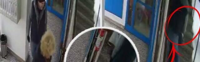 IMA UBODNE RANE I PO GLAVI! Poznato stanje žene izbodene u hodniku zgrade na Novom Beogradu! PLJAČKAŠ JE UMALO UBIO PRED OČIMA MALOG UNUKA! (UZNEMIRUJUĆI VIDEO)