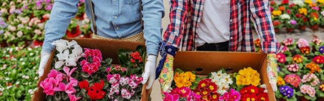 Ove 3 greške više nemojte da pravite i cveće će bujati kao ludo