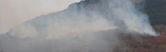 MUP: Više od 1.400 požara za deset dana, kazne za pravna lica i do milion