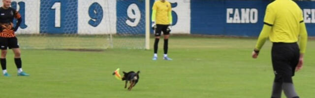 SUDIJA U ČUDU, IGRAČI U ŠOKU: Nepozvani gost je oduzeo sudiji zastavicu - usledila je jurnjava po celom terenu! (FOTO-GALERIJA)