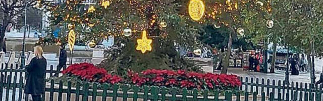 Атин­ска бо­жић­на јел­ка као симбол стања у Грчкој