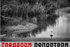 Гледаоци репортери (29. новембар 2022)