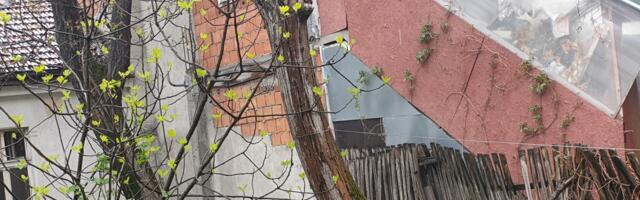 Vesna Đogani je odrasla u TROŠNOM KUĆERKU ISPOD MOSTA: "Imala sam parče hleba i parče neba, živela sam u Zvečanskoj"