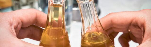 1.001 uzorak stigao na prvi Haјdučki festival rakiјe: Komisija dobila dovoljno dana da pošteno oceni svaki