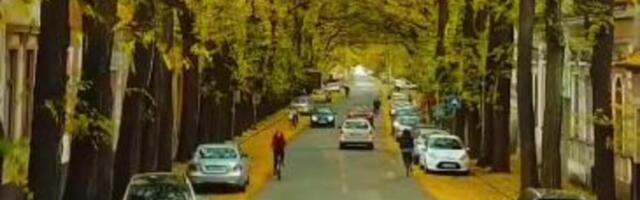 Jedna od najlepših ulica na svetu nalazi se u Srbiji: Zovu je "zeleni tunel" - prava oaza prirode (FOTO)