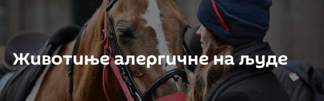 Животиње алергичне на људе