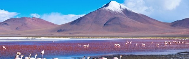 Ovo nestvarno crveno jezero u Južnoj Americi je dom flamingosa!