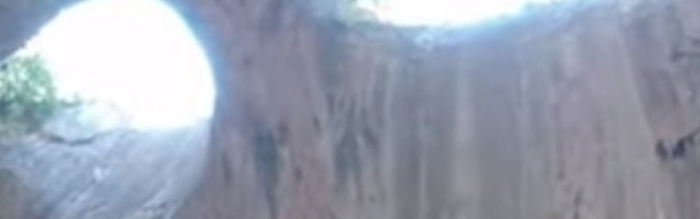 Nalazi se u komšiluku, a nikoga nije ostavio ravnodušnim! (VIDEO)