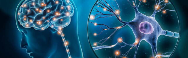 Neuralink ima zeleno svetlo da počne ispitivanje moždanih implanata na ljudima sa paralizom