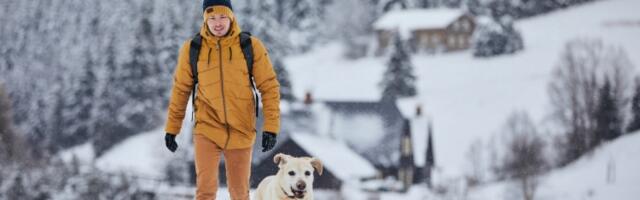 Ovo morate raditi ako šetate psa po snegu