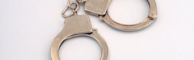 POKRENUTA ISTRAGA U INDIJI: Raul Gandi i njegova majka Sonja optuženi za pranje novca