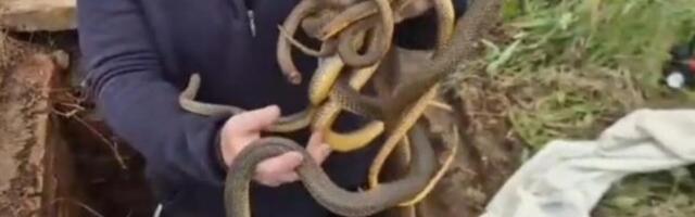 Vladica otvorio šaht, a tamo pravi pravcati horor: Sledio se u mestu, sve se desilo u Vladičinom Hanu