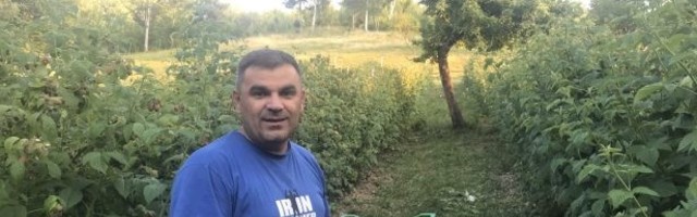 U Petnjici se već treću godinu za redom realizuje se projekat “Mladi Crne Gore i Albanije u zasadima malina