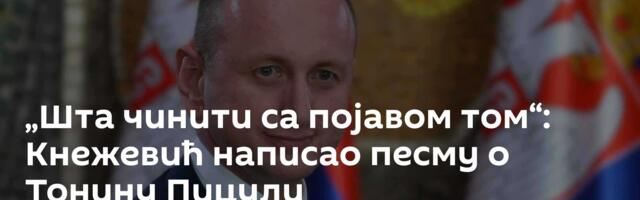 „Шта чинити са појавом том“: Кнежевић написао песму о Тонину Пицули