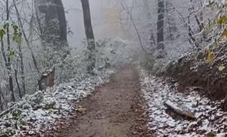 SNEG VEJE ŠIROM SRBIJE! PRVE PAHULJE PALE I NA FRUŠKOJ GORI: Zabelela se srpska planina, pogledajte prelepe prizore (VIDEO)