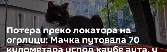 Потера преко локатора на огрлици: Мачка путовала 70 километара испод хаубе аута, у добром је стању