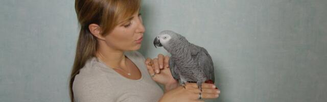 Od aprila kreću nova pravila putovanja: Važe za ove zemlje