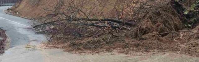 Pokrenuto klizište na ovoj deonici puta u Srbiji: Kiša napravila kolaps, blato i drveće se sručili na kolovoz