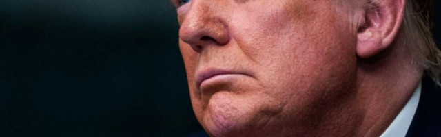 Korisnici društvenih mreža kažu da ajkula "liči na Trampa" (FOTO)