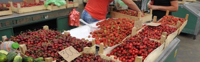 BEOGRADSKE PIJACE, OSIM OVE DVE, POČINJU SA RADOM! Stekli su se epidemiološki uslovi, evo koje će biti radno vreme!