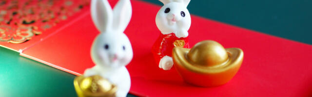 U NEDELJU POČINJE KINESKA NOVA GODINA I SVE SE MENJA Šta će nam donijeti godina Zeca - Rad,  finansije, ljubav, sve se pomera iz temelja