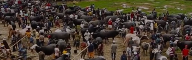 Iskopavaju bližnje i druže se sa njima?! (FOTO/VIDEO)