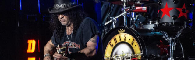 „Ганси” поново пале бину