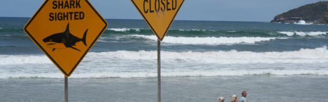 U Australiji četiri napada ajkula u tri dana