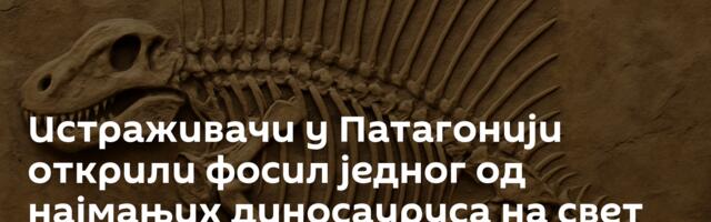 Истраживачи у Патагонији открили фосил једног од најмањих диносауруса на свет